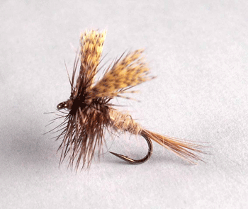 March Brown Flicks dry fly with brown-olive body and upright wings imitating spring mayflies.