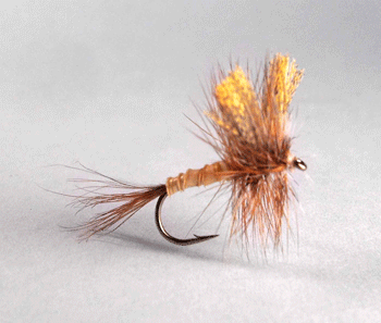March Brown Western is a classic dry fly pattern designed to imitate the adult March Brown mayfly