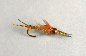 Micro Stonefly bead head nymph for trout fishing in rivers and tailwaters