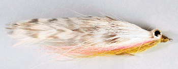 Mike's Rainbow Clouser streamer with rainbow flash and dumbbell eyes for trout and redfish