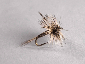 dry fly fishing pattern is designed to imitate adult mosquitoes
