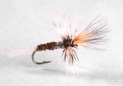 CALLIBAETIS CRIPPLE MUD LAKE