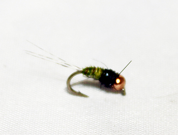 Da Bomb (BWO Scud Hook) Tungsten – Heavy, Compact Nymph for Deep Drifts- fly fishing fly.