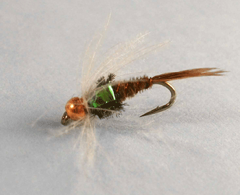Pheasant Tail CDC Flashback B.H. fly with CDC collar and flashback wing case. Fishing flies.