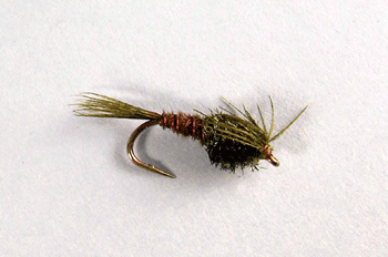 Bead head Pheasant Tail Flashback Black trout fly for rivers and streams.