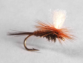 phtlpara Pheasant Tail Parachute dry fly with segmented body and parachute hackle for trout fishing.