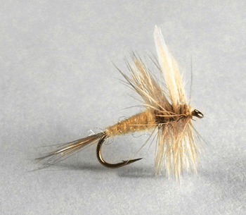 Pale Morning Dun (PMD) dry fly with pale yellow body, upright wings, and slender tails. Flies for sale