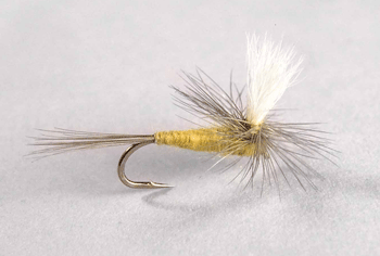 Pale Morning Dun Parachute – Fly Fishing Dry Fly