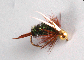 Prince Nymph B.H. Scud Hook tungsten attractor nymph fishing fly