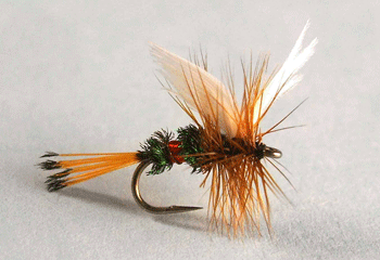 Royal Coachman dry fly with peacock body, red floss band, and white wings. Fishing flies.