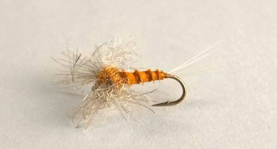 dry spinner - fly fishing fly