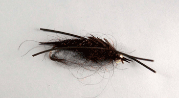 Stonefly Black Bead Head with Legs fly pattern for deep runs and fast currents.