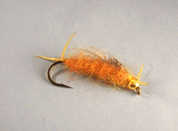 Stonefly Golden B.H. nymph fly pattern-fishing flies