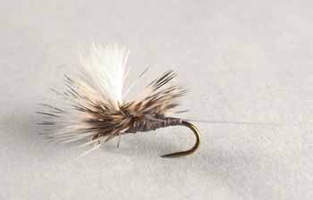 Sumners Parachute Mayfly fly with slim segmented body, parachute post, and hackle for trout fly fishing.