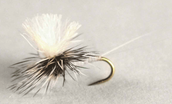Trico Parachute dry fly with slender black body and white post, imitating Tricorythodes mayflies.