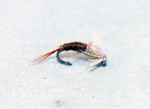 PMD Emerger Flashback mayfly emerger fly for trout
