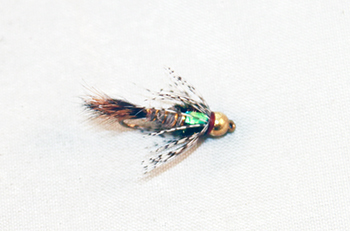 Guide Choice Flashback B.H. – Dependable Nymph with Added Attraction - fishing flies