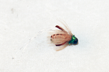 Graphic Caddis Tan B.H. – Realistic Caddisfly Larva with Bead Head for Depth - fly fishing flies