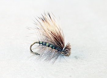 Caddis Elk Hair Pearl – Versatile Dry Fly with a Flashy Twist - cheap flies