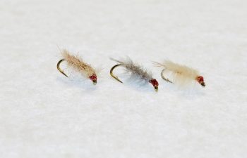 Ray Charles trout fly fishing flies for tailwater fishing