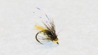 Caddis Plan D Tungsten fly with slim olive body and tungsten bead for trout fishing -fly fishing flies
