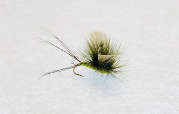 Green Drake ARK – Bold Mayfly Imitation for Explosive Surface Strikes - Hill's discount flies