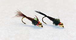 Pheasant Tail Flashback T.H. Hot Collar fly with tungsten bead and bright trigger collar.