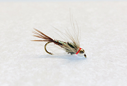 Pheasant Tail Flashback CDC fly with tungsten bead and hot collar for Euro nymphing