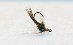Pheasant Tail Flashback CDC Jig fly with hot collar and tungsten bead for trout fly fishing