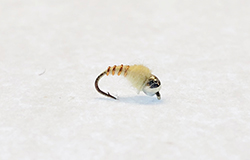 Miracle Midge fly with tungsten bead for trout fishing in deep cold water