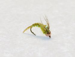 Hunch Back tungsten fly tied on curved hook with bead for euro nymphing - cheap flies