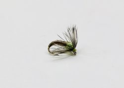 Baetis Soft Hackle G.B. (Element) fly fishing fly designed to imitate Baetis (Blue-Winged Olive) nymphs and emergers
