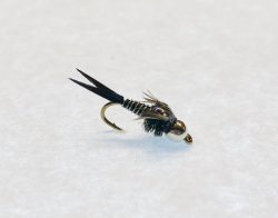 Copper Jon Zebra Tungsten – Fly Fishing Nymph Fly - shiny