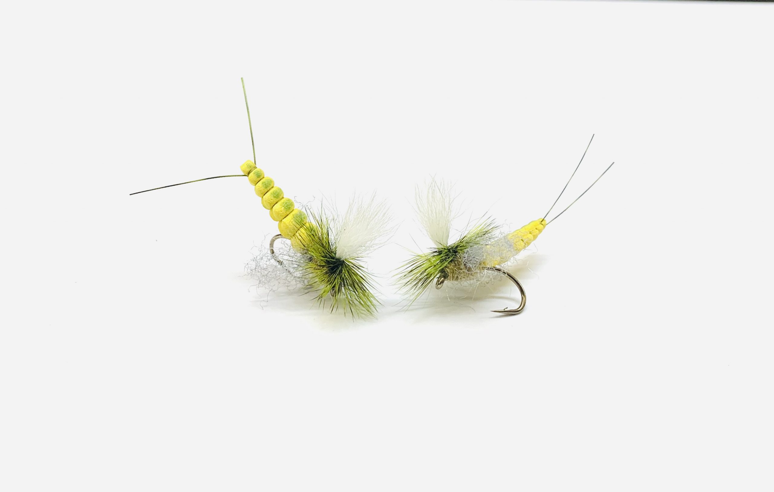 Green Drake Adult Dry Fly Pattern