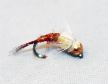PMD Emerger B.H. or TH with olive-tan body and bead head for trout fishing. Fishing flies.