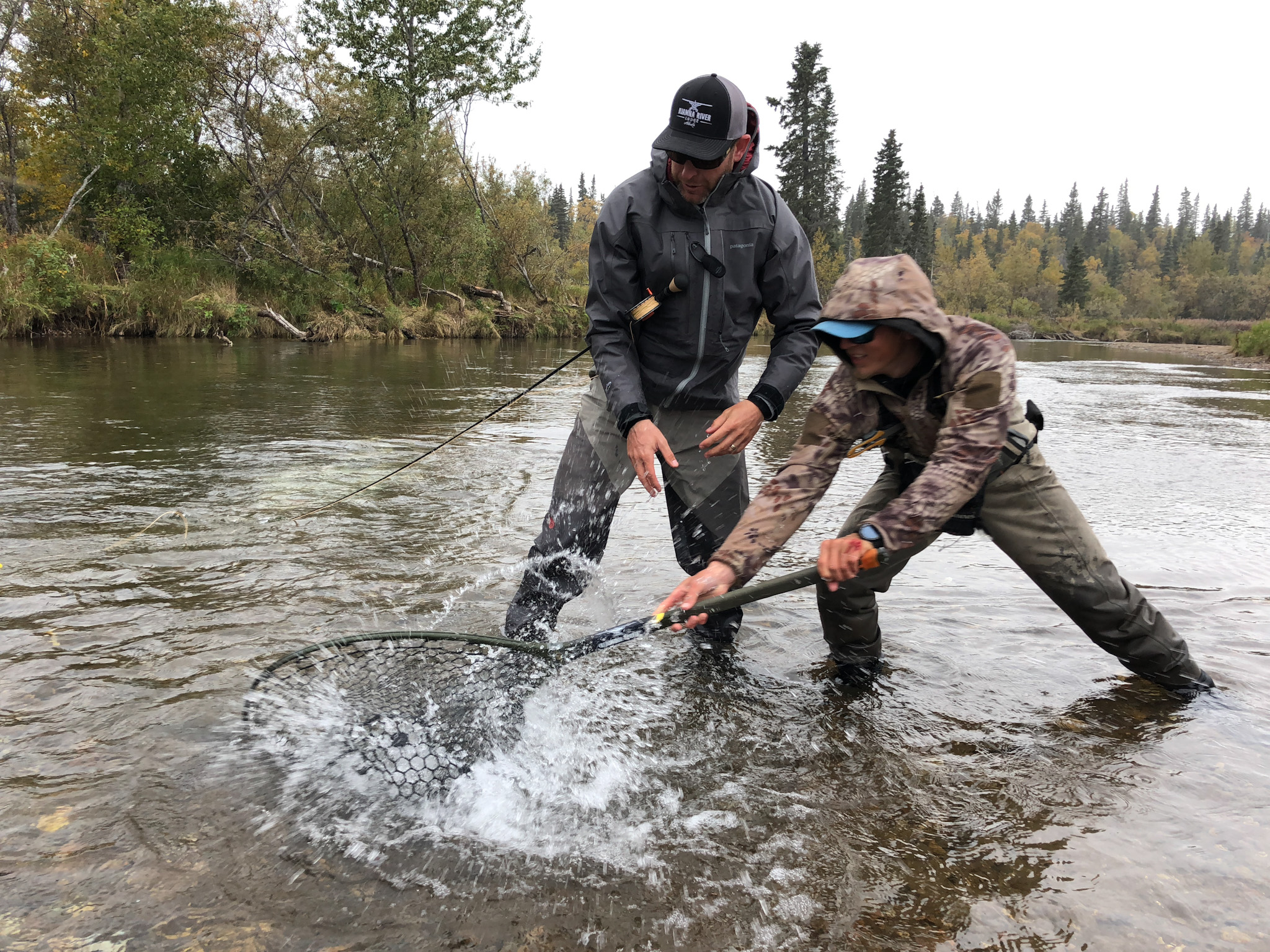 Hill's Discount Flies online shop - Fly Fishing Flies - netting a nice trout