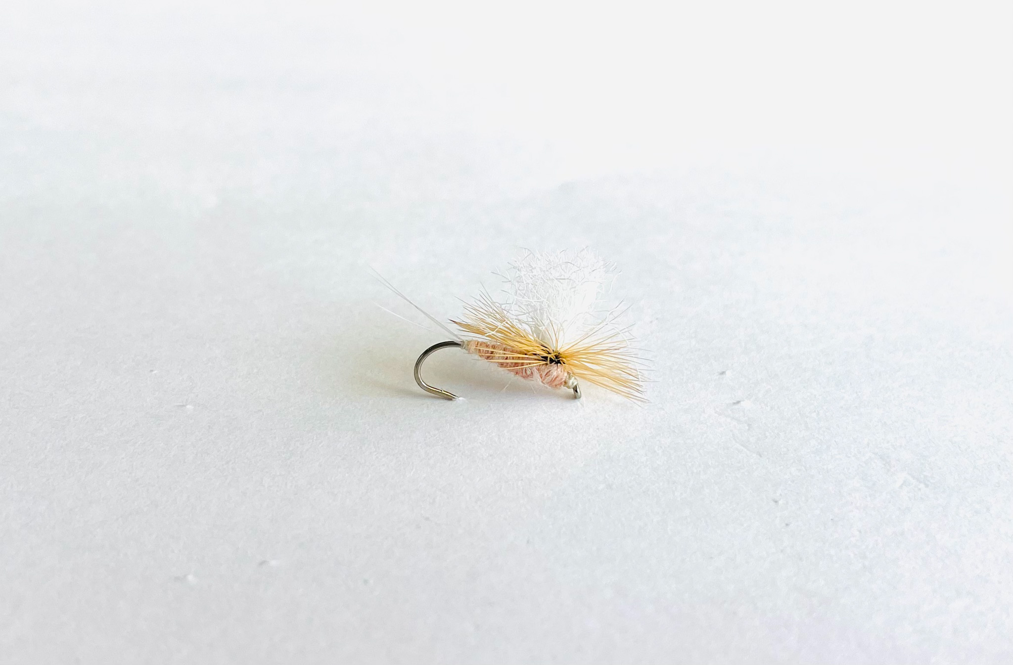 Cahill Pink Parachute dry fly with pink body, parachute hackle, and upright post. Fly fishing flies.