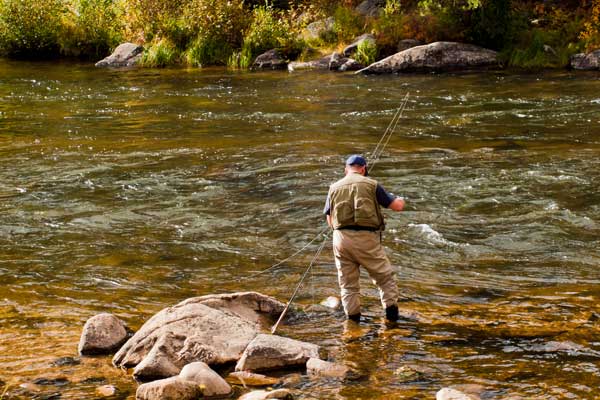 colorado fly fishing license