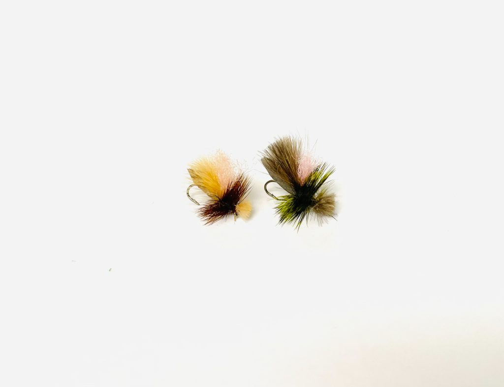 Caddis – A Life Cycle - Hill's Online fly Shop - Discounted fly fishing flies