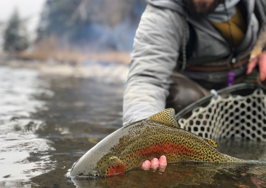 Eagle River Outfitter - wading and float trips om the Eagle River