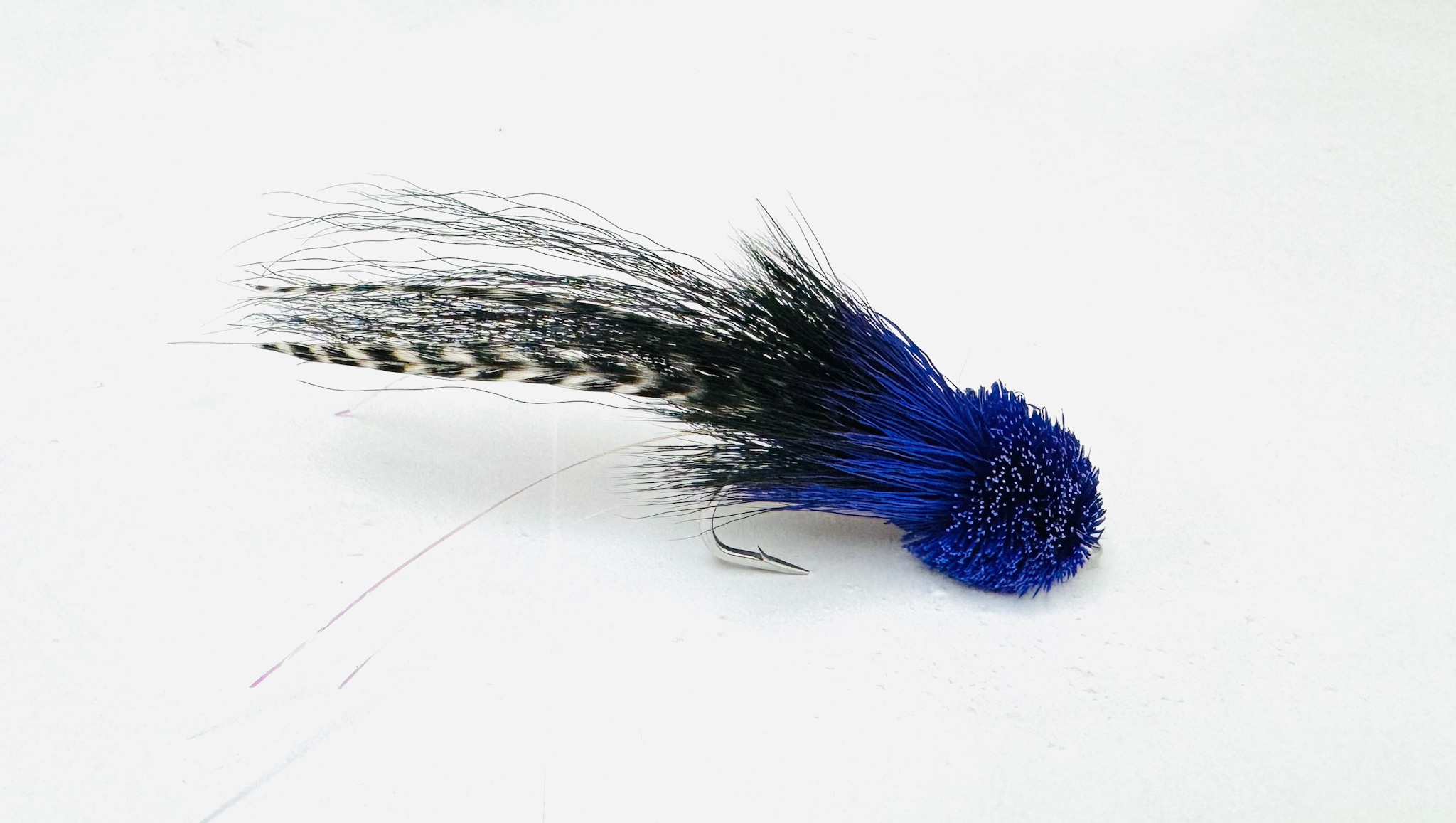 tarpon rat