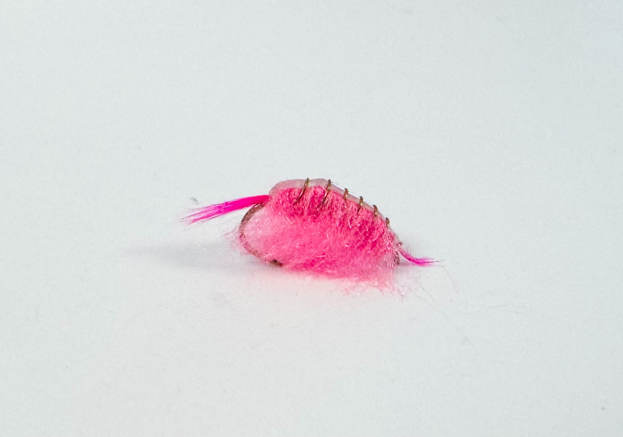 Pink scud fly for trout fishing in tailwaters. Fly fishing flies.