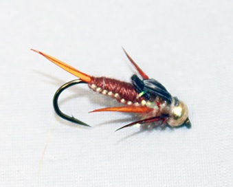 Stonefly Rooster’s Gold/Tan Tungsten fly pattern - fishing flies